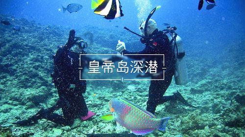 僵尸吃怪物